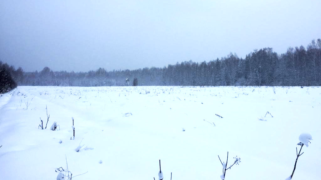 Бывший хутор Заказ (Савельевка), ныне засеиваемое овсом поле, февраль 2023.